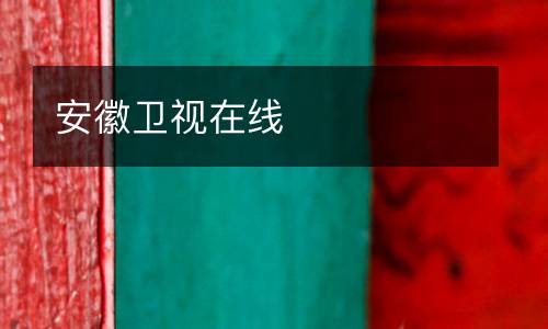 安徽衛(wèi)視在線