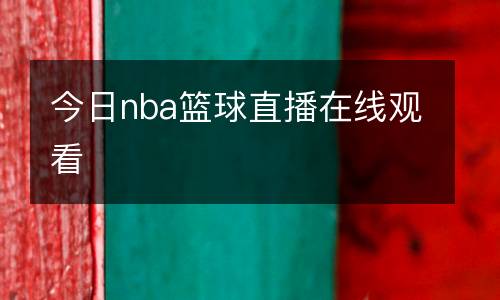 雨燕籃球直播